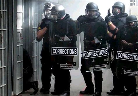 A Corrections Officer's Tale .